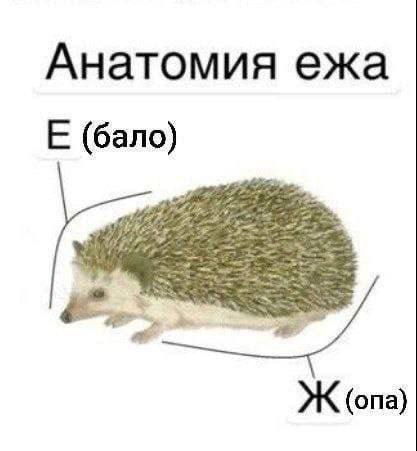 вот телефон, вот разьем, вот моуль - ты это поставь и приклей за недорого, я же детали принес,  и это...