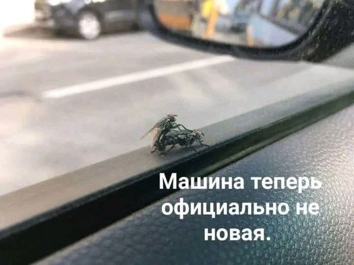 1. Пиздить
2. Да, весь код оберни в try{} а catch - ну его нах, забудь, не думай об этом, к чему расстраиваться...
