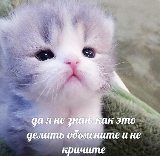 Ну вот у меня какое? ...