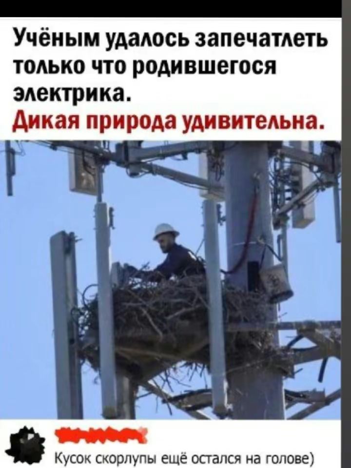 Вот, доволен? Никогда не сомневайся во мне! ...