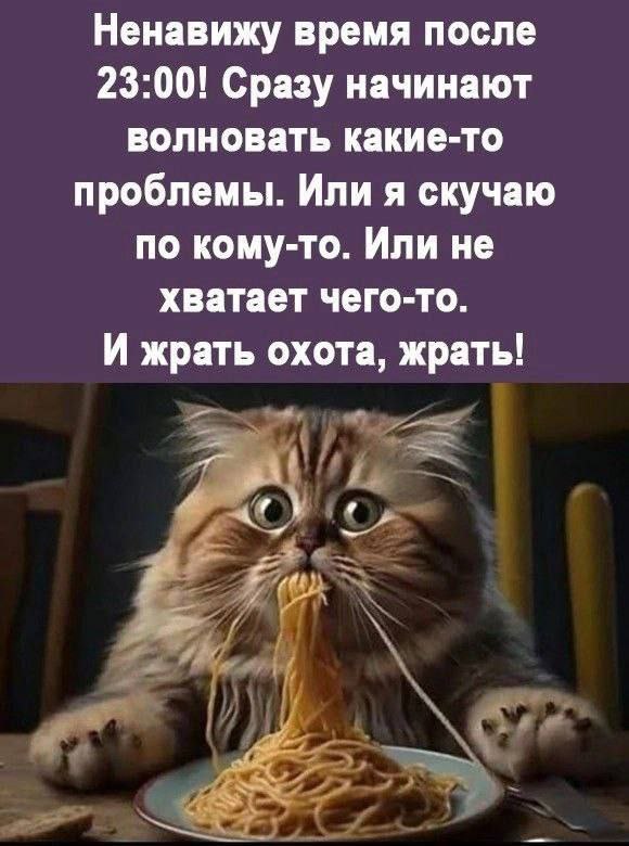Диски какие ставятся? ...
